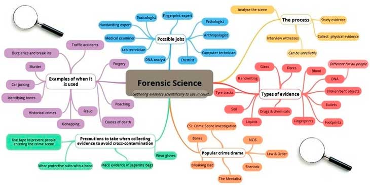 mind mapping free softward