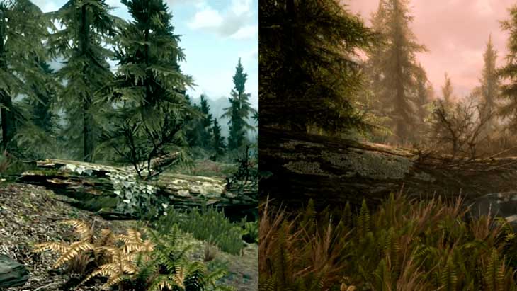 skyrim special edition graphics overhaul